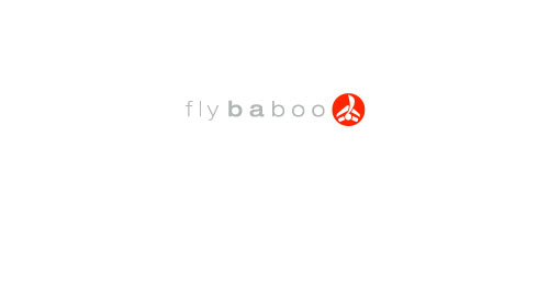 Flybaboo