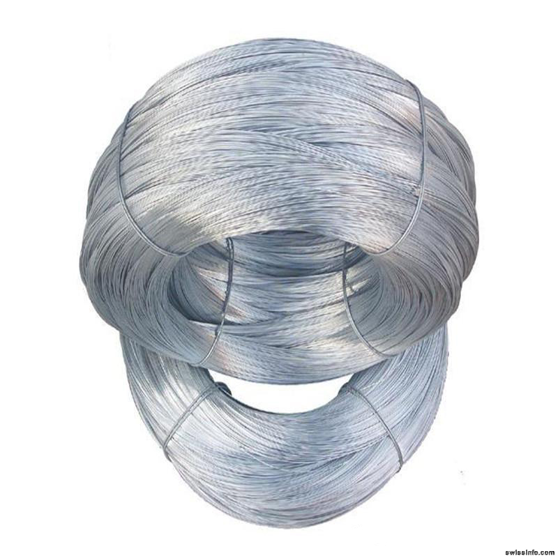 Electric Galvanized Iron Wire Rebar Tie Wire for Construction