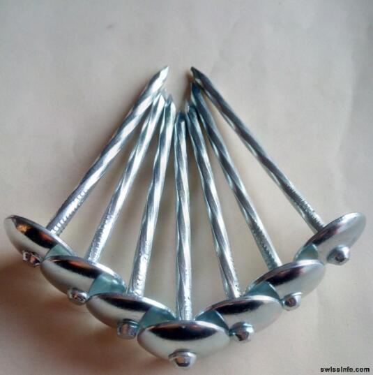 Twisted Shank Clous Of Tole Galvanized Umbrella Head Roofing Nails