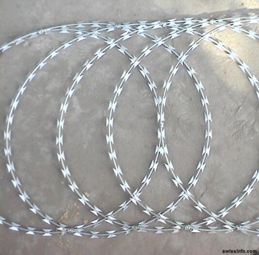 China Factory Hot Sales Razor Barbed Wire Welded Wire Mesh Fence