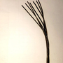 Building Material Iron Twisted Soft Annealed Black Iron Binding Wire