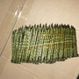 High Quality Hot Dipped Galvanized Pallet Wire Coil Nails